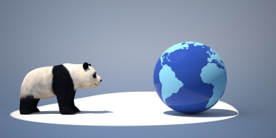 Panda 4.1: Is your Traffic Up or Down?