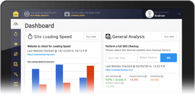 Using the SEOSiteCheckUp Dashboard – Important Features